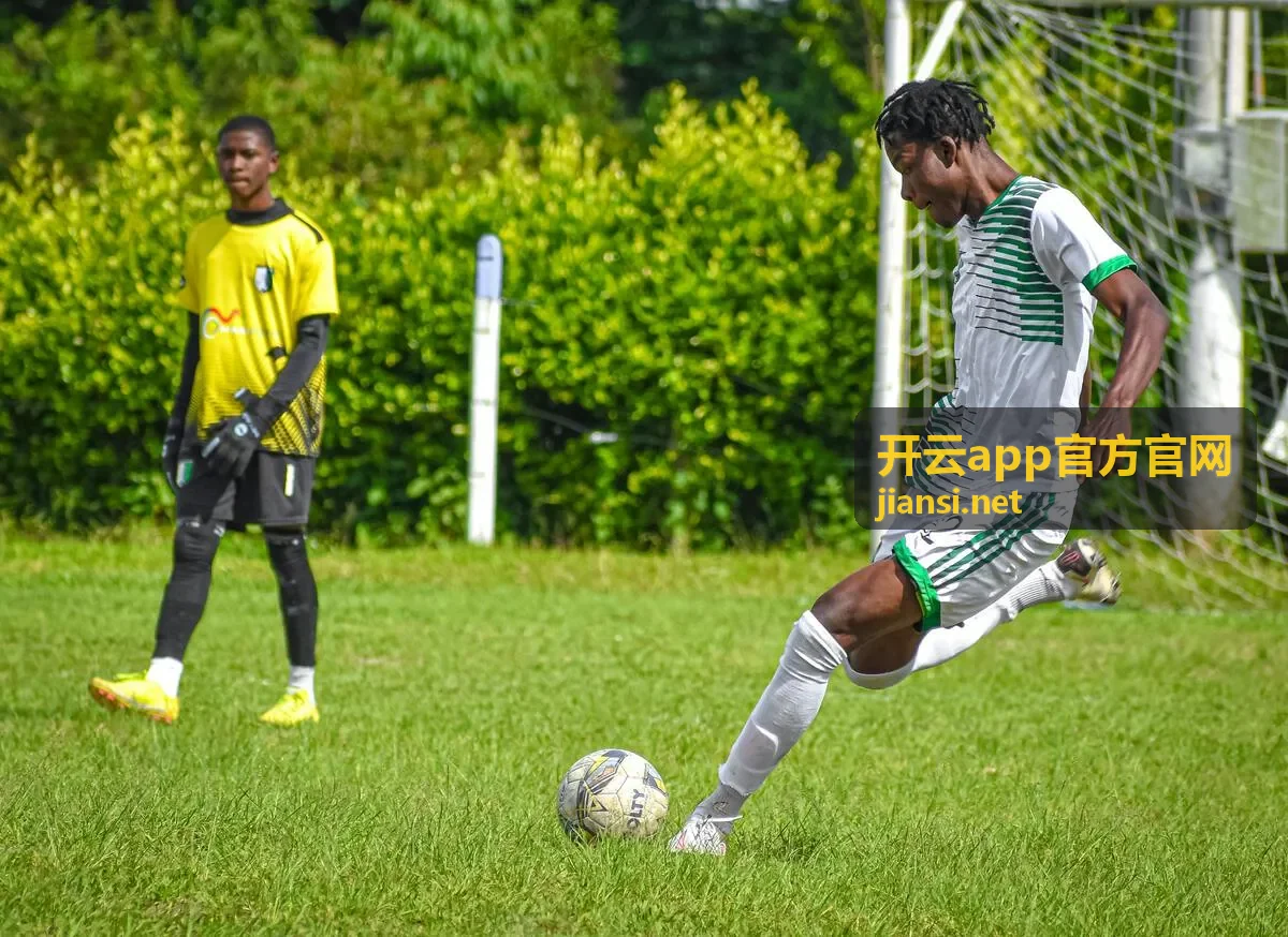 开云app官方官网首页展示图，用于说明官方入口与版本信息区域